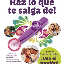 Cartel de la campana de carnaval 2026