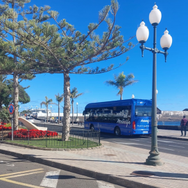 Guagua pública arrecifeña. Transporte.