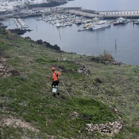 Limpieza de los riscos de La Tiñosa