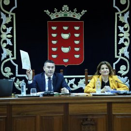 Pleno del Cabildo de Lanzarote