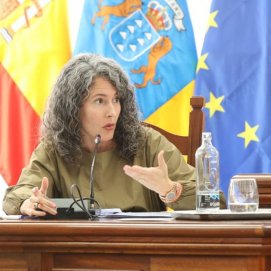 Ariagona González   pleno de 2024 11 28
