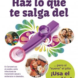 Cartel campaña del carnaval