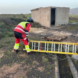 Rescatado un gato atrapado en un aljibe frente al vertedero de Zonzamas