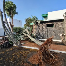 Pitera tirada por el viento en una casa