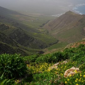 Paisaje del barranco de Chafarís en Teguise. Foto: Andrea Domínguez.