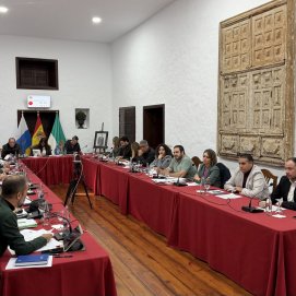 Pleno de Teguise