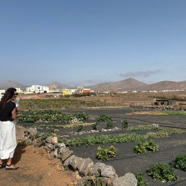 Terrenos del Centro de Biodiversidad Agrícola de Lanzarote