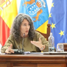 Ariagona González en un pleno de 2024