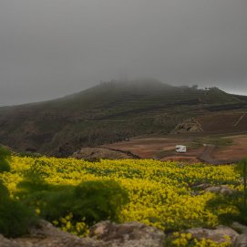 Lluvia y niebla en Lanzarote. Foto: Andrea Domínguez.