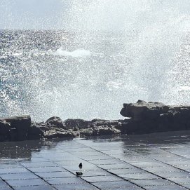 Parte del muro destrozado por el oleaje de Therese (Imagen:Barbarella Buchner)
