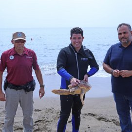 Suelta de una tortuga boba en el litoral de Lanzarote.