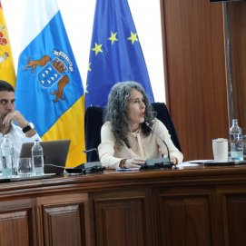 Benjamín Perdomo y Ariagona González (PSOE)