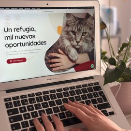 Web de adopción de San Bartolomé