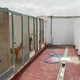Imagen de archivo del albergue de animales en Teguise