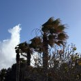Viento en Lanzarote. Foto: Michael Valdivia