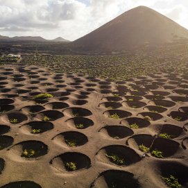 Paisaje vitivinícola de Lanzarote