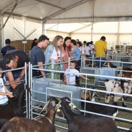 Feria de Uga, 2026