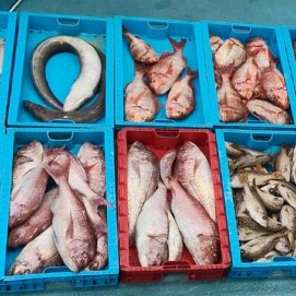 Pesca ilegal en La Graciosa. Foto: Guardia Civil.