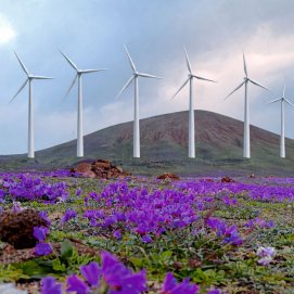 Molinos en San Bartolomé, Lanzarote. Energía.