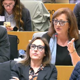Intervención de Doris Borrego, presidenta de ASCAV, en el Parlamento Europeo.