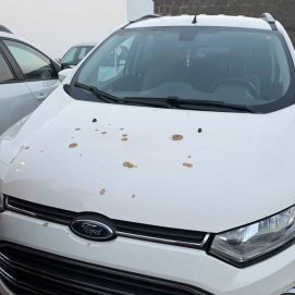 Excrementos en el vehículo de la afectada