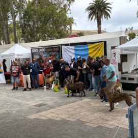 Evento Canino Haría 2026 