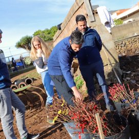 Quintero observa la preparación de injertos para crear vides resistentes a futuras plagas en Canarias