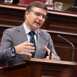 El parlamentario canario de Vox Nicasio Galván.