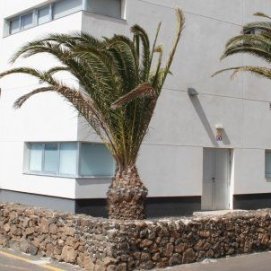 Asaca advierte: el 80% de los enfermeros podría estar fuera de su puesto el día de las oposiciones