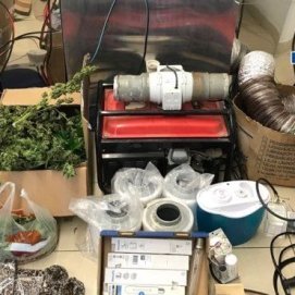 Intervenida una plantación de marihuana en un inmueble donde residía una niña de 5 años