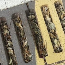 Quejas por "falta de limpieza y mantenimiento" en Mancha Blanca: "El alcalde la tiene abandonada"