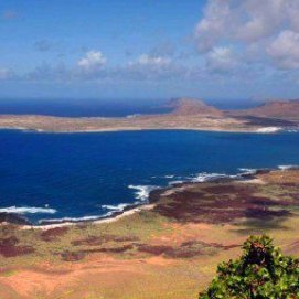 WWF urge a las administraciones a crear un órgano de gestión propio que proteja el Archipiélago Chinijo