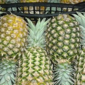El Gobierno canario advierte de la entrada de fruta ilegal en Lanzarote, Fuerteventura y La Palma