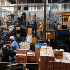 El Cabildo y la CEL subvencionan la contratación temporal de desempleados con hasta 6.600 euros