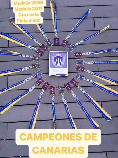 'Los Pingüinos' en el Campeonato Regional de natación artística