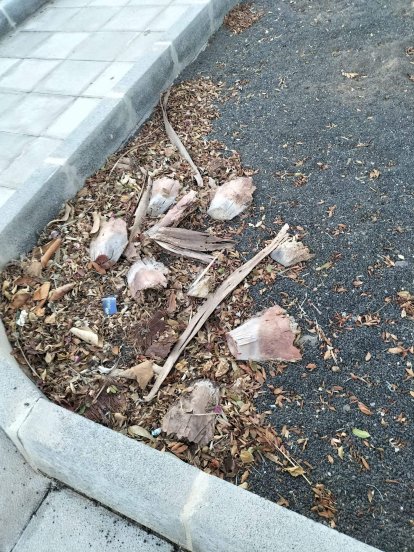 La basura y residuos acumulados en Costa Teguise