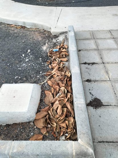 La basura y residuos acumulados en Costa Teguise