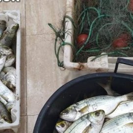 La Guardia Civil denuncia a cuatro personas por pesca ilegal en Lanzarote 
