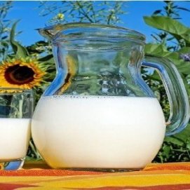 La leche y la infancia