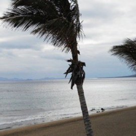 El aviso amarillo por viento estará activo desde las 14 hasta las 22 horas de este viernes