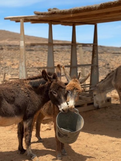 El refugio La Casa de las Estrellas en Teguise