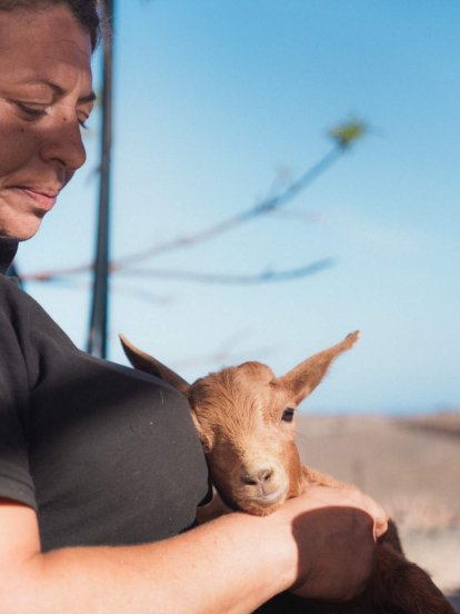 El refugio La Casa de las Estrellas en Teguise