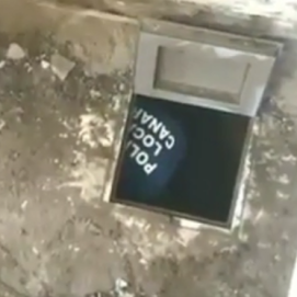 La Policía Local rescata a tres crías de gato de una casa abandonada de Arrecife