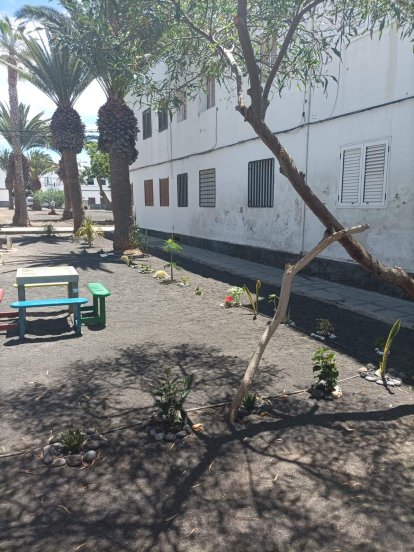 El jardín destrozado en el barrio de Titerroy