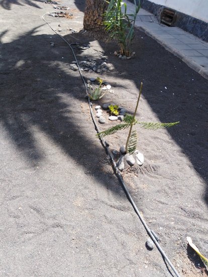 El jardín destrozado en el barrio de Titerroy