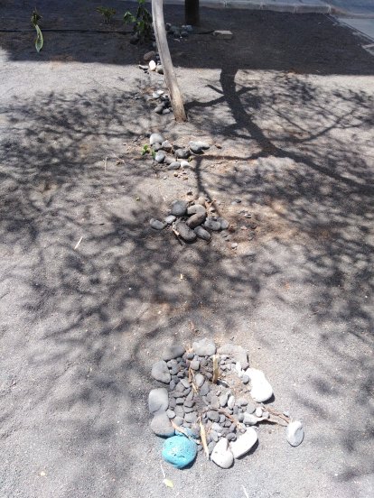 El jardín destrozado en el barrio de Titerroy