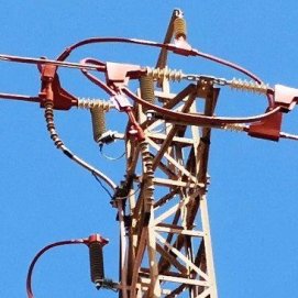 Endesa instala medidas de protección para la avifauna en apoyos eléctricos de Lanzarote y Fuerteventura