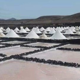 La sal marina de las Salinas de Janubio, "libre de microplásticos"