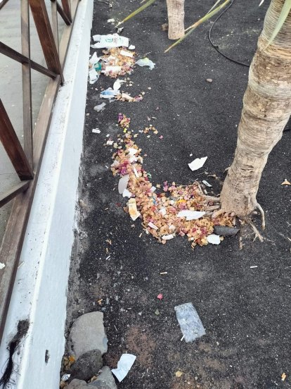 Basura y suciedad en Costa Teguise. Fotos: Cedidas. 