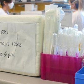 Pruebas de coronavirus 